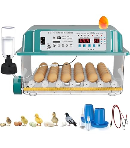 Amazon.com: Merendetee 26-52 Eggs Automatic Incubator | Upgrade